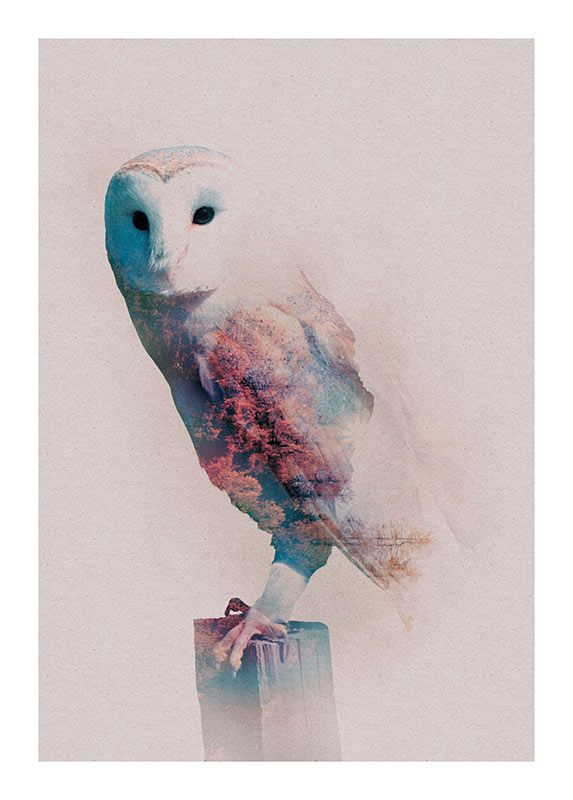 Poster 14.09 mit/ohne Owl\