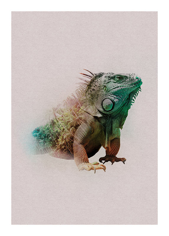 Original Komar® ohne Paradise Iguana Animals Rahmen mit Wandbild oder