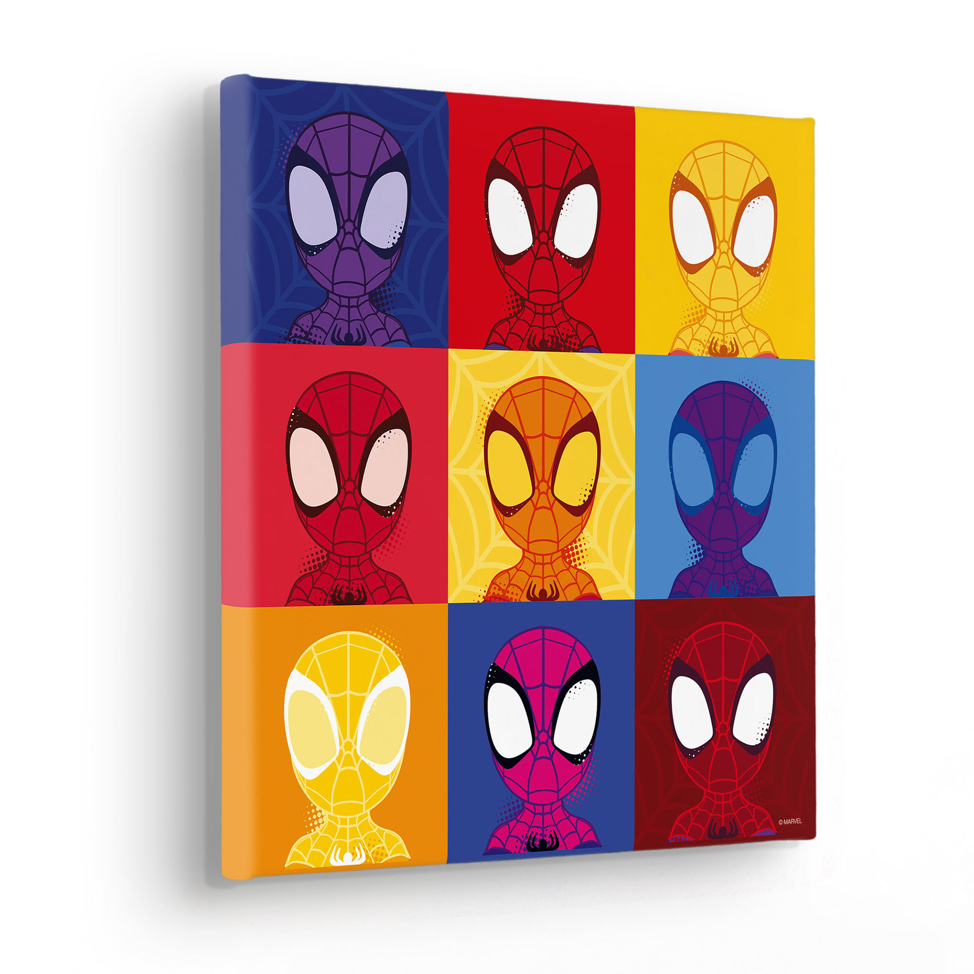 Telaio a Cuneo Spidey Symmetry di Komar® I solo 18.90